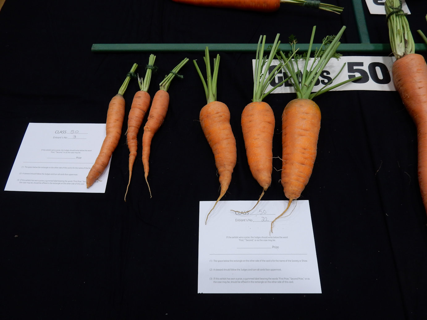 More Carrots 